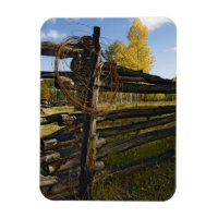 Barbed Wire