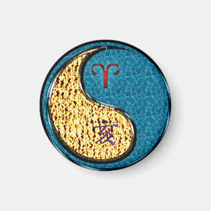 Íman Barco Aries & Água