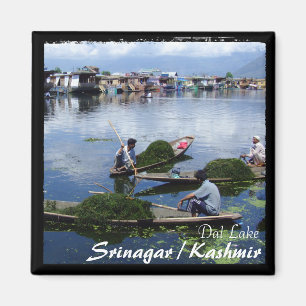 Íman Barcos de Kashmir, Srinagar - de Shikara (ímã)