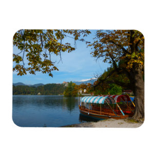 Íman Barcos de turista no lago sangrado no outono