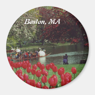 Íman Barcos Swan e Tulipas Vermelhas