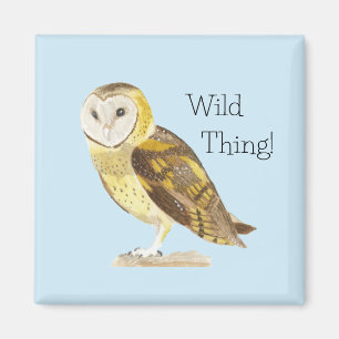 Íman Barn Owl