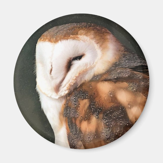 ÍMAN BARN OWL (Frente)