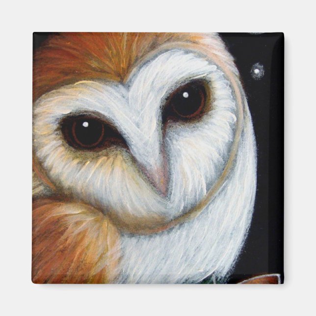 Íman BARN OWL FECHAR O Magnet (Frente)