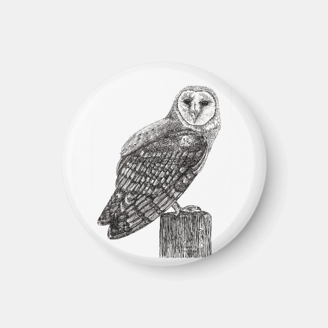 Íman Barn Owl Magnet (Frente)