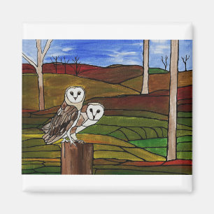 ÍMAN BARN OWLS