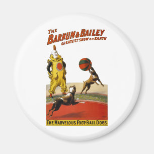 Íman Barnum e Bailey: Cães do futebol