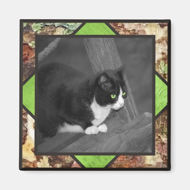 Íman Barnyard Cat Magnet (Frente)