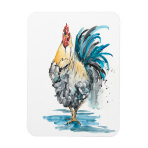 Íman Barra do Rooster - Retrato de Aquarela