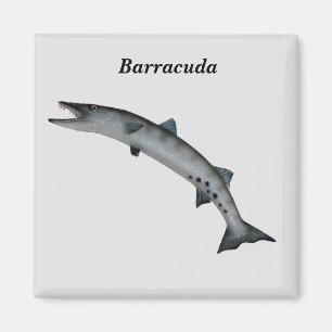 Íman Barracuda Game Fish
