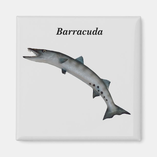Íman Barracuda Game Fish (Frente)