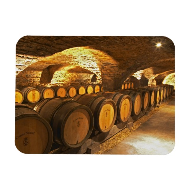 Íman Barreiras de carvalho na adega Domaine Comte (Horizontal)