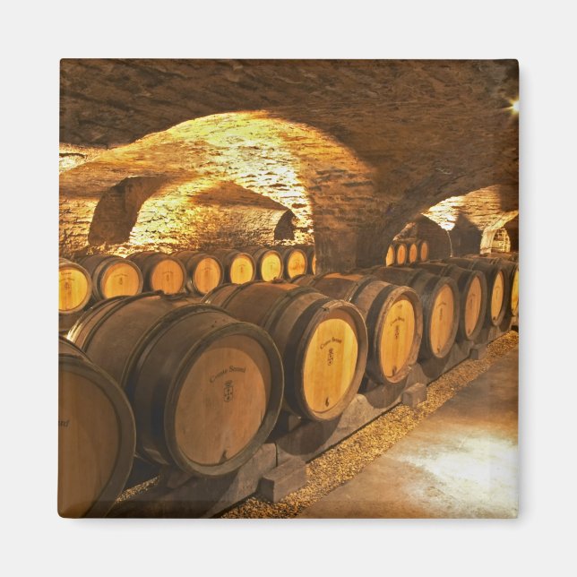 Íman Barreiras de carvalho na adega Domaine Comte (Frente)