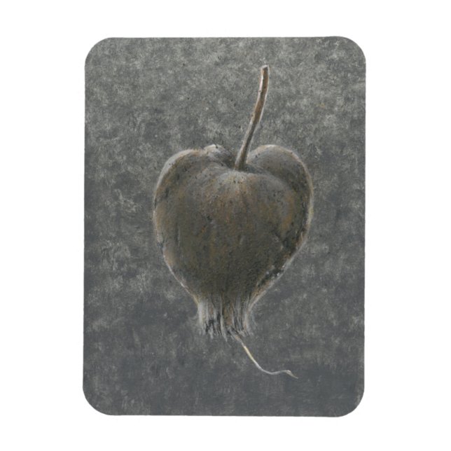 Íman Barringtonia Acutangula 2 (Vertical)