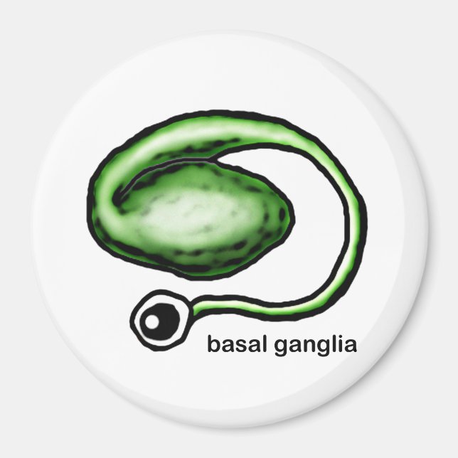 Íman Basal Ganglia Magnet (Frente)
