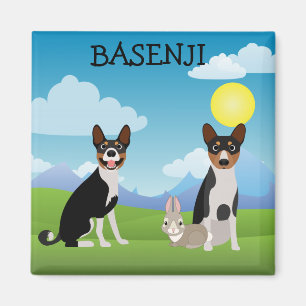 Íman Basenji Bunny ama Black e Tan Hound
