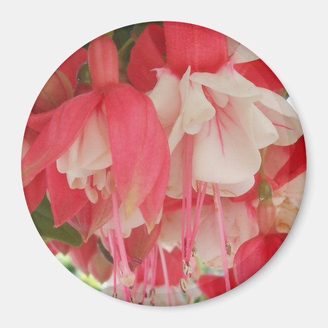 Íman Bashkirtseff (Frente)