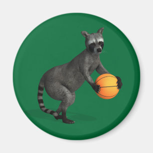 Íman Basketballer Raccoon