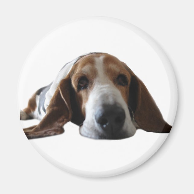 Íman Basset Hound deitado (Frente)