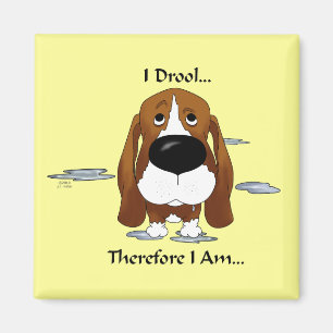 Íman Basset Hound - eu Drool… conseqüentemente mim s