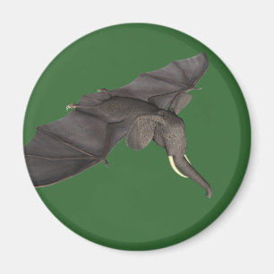 Íman Bat Elephant Hybrid