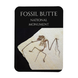 Íman Bat Fossil, Monumento Nacional de Buttera Fóssil