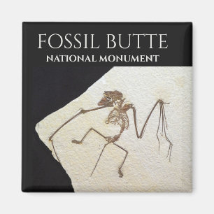 Íman Bat Fossil, Monumento Nacional de Buttera Fóssil