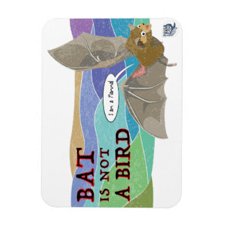 Íman Bat não é um pássaro