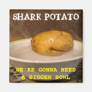Íman Batata de tubarão... vamos precisar de uma tigela 