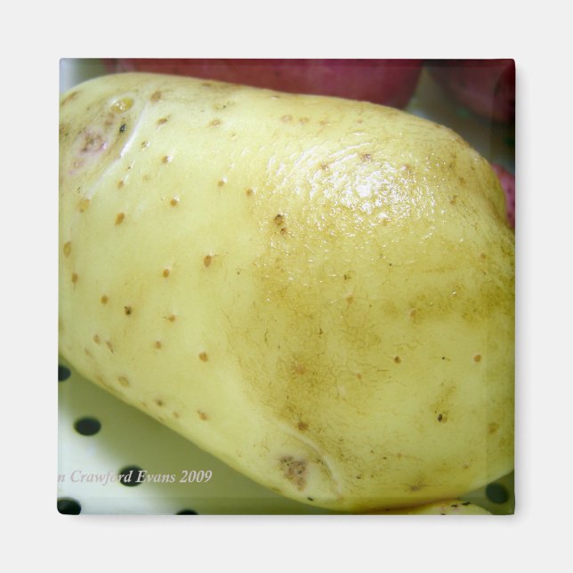 Íman Batata do ouro de Yukon (Frente)