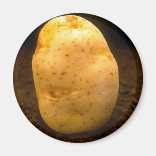 Íman Batata na sujeira