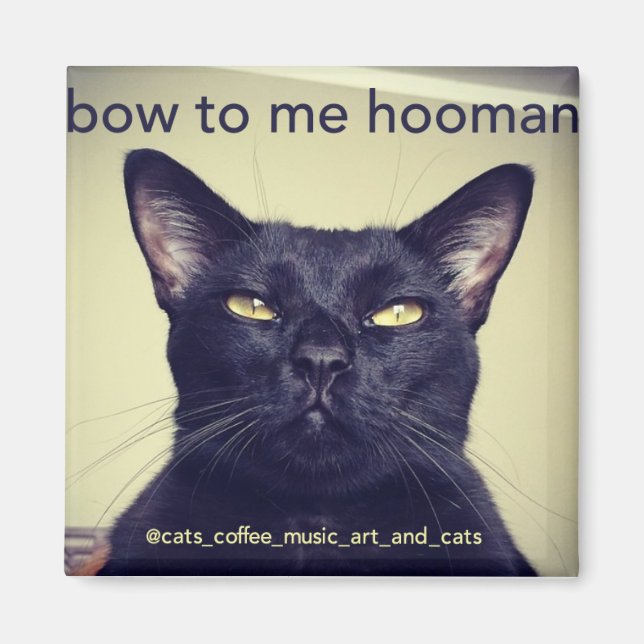 Íman Batcat: Arco para mim, o Magnet (Frente)