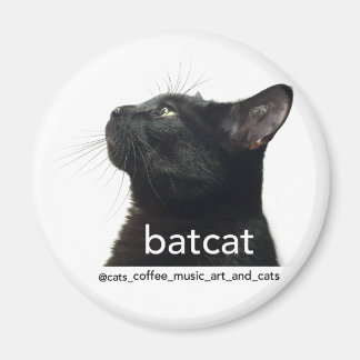 Íman Batcat: Magnet