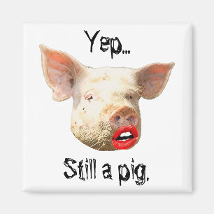 Íman Batom num Porco