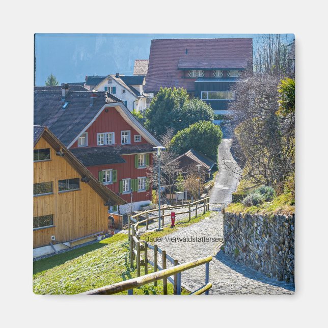 Íman Bauer Vierwald, Suiça (Frente)