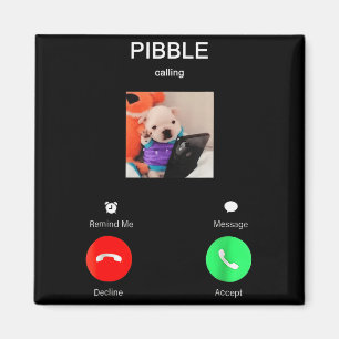 Íman Bble Está Chamando Meme Engraçado Para Fãs de Meme