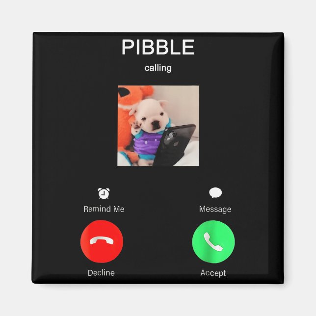 Íman Bble Está Chamando Meme Engraçado Para Fãs de Meme (Frente)