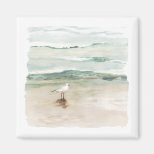 Íman Beach Seagull Cove