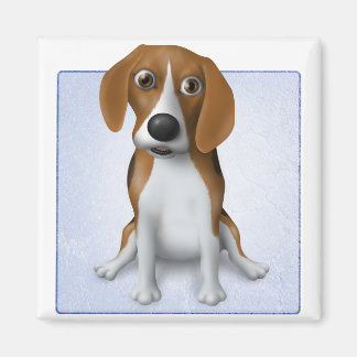 Íman Beagle