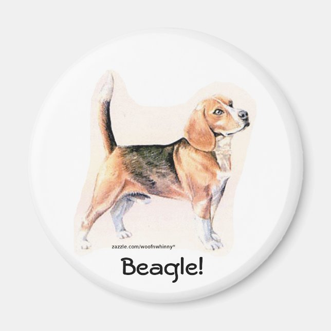 Íman Beagle (Frente)
