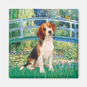 Íman Beagle1 - Ponte