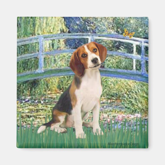 Íman Beagle1 - Ponte (Frente)