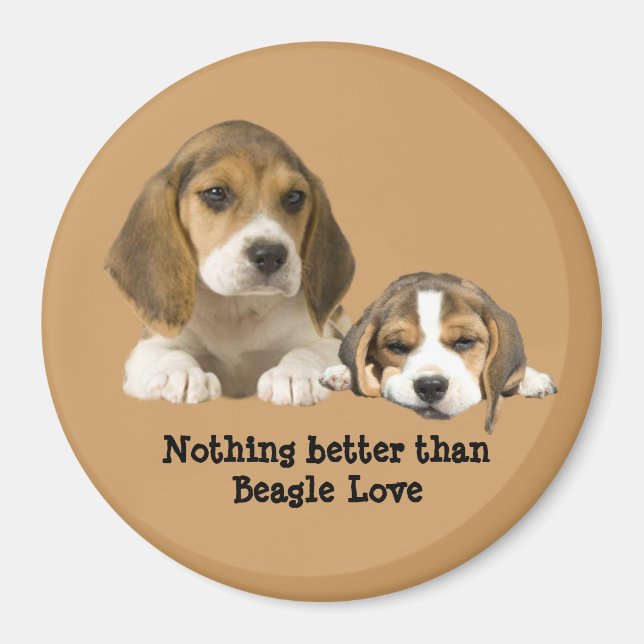Íman Beagle Buddies Magnet (Frente)