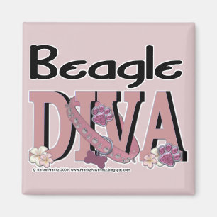 Íman Beagle DIVA