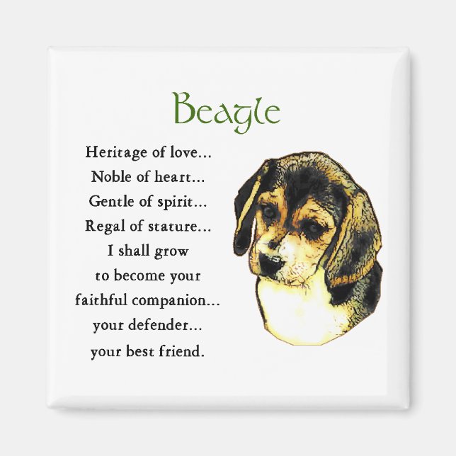 Íman Beagle Gifts (Frente)