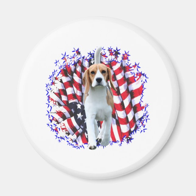 Íman Beagle Patriot (Frente)