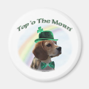 Íman Beagle Top of the Morn'; Rua de Beagle. Dia de Pat