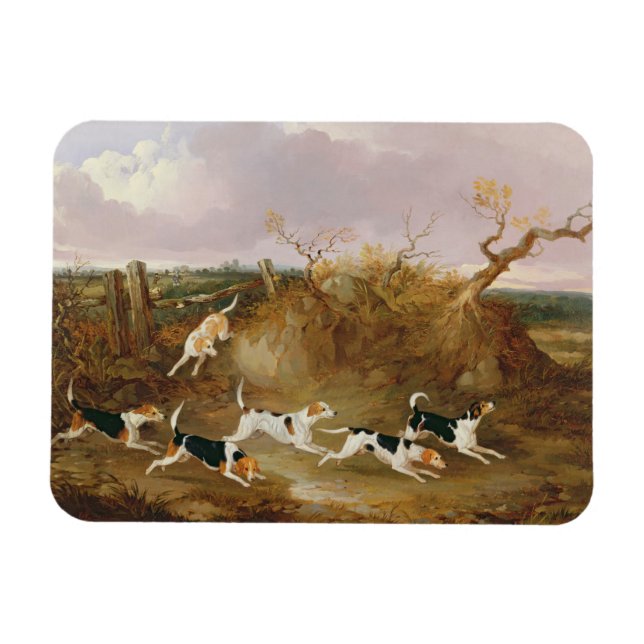 Íman Beagles in Cheio Cry, 1845 (óleo na canvas) (Horizontal)