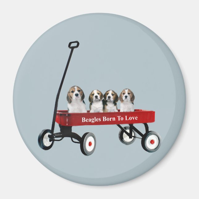 Íman Beagles No Magneta Do Vagão (Frente)