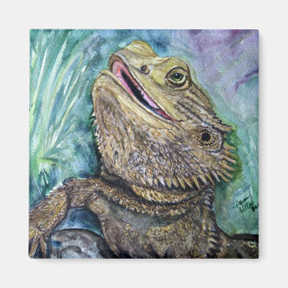 Íman Bearded Lizard